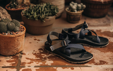 TS x&nbsp;Chaco:&nbsp;Granola