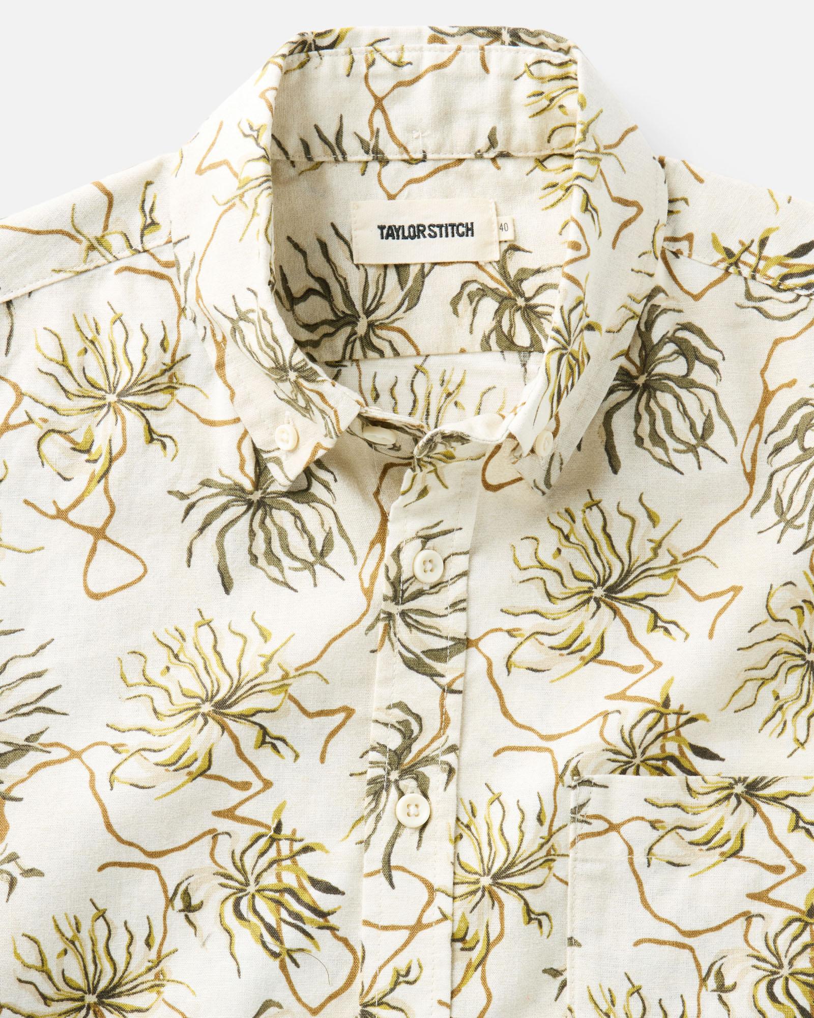 material shot of the collar on The Short Sleeve Jack in Dried Palms, Wovens by Taylor Stitch