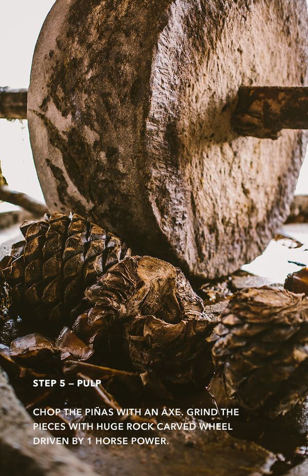 Step 5: Pulp = a stone mill wheel approaching several agave hearts.