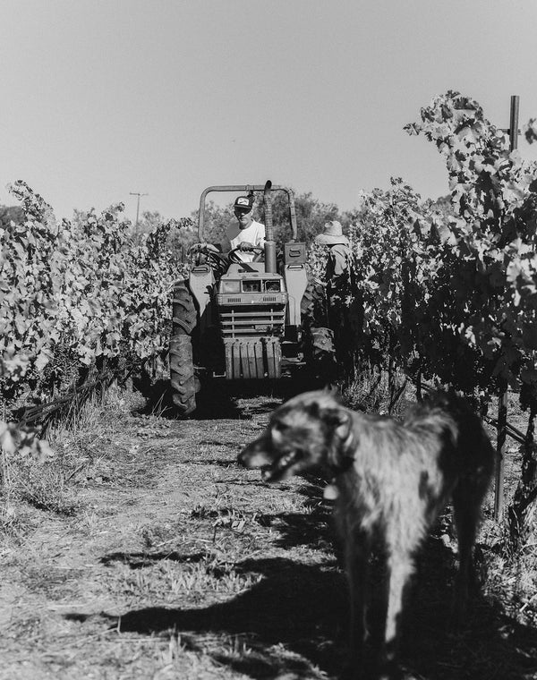 Jack
      driving a tractor