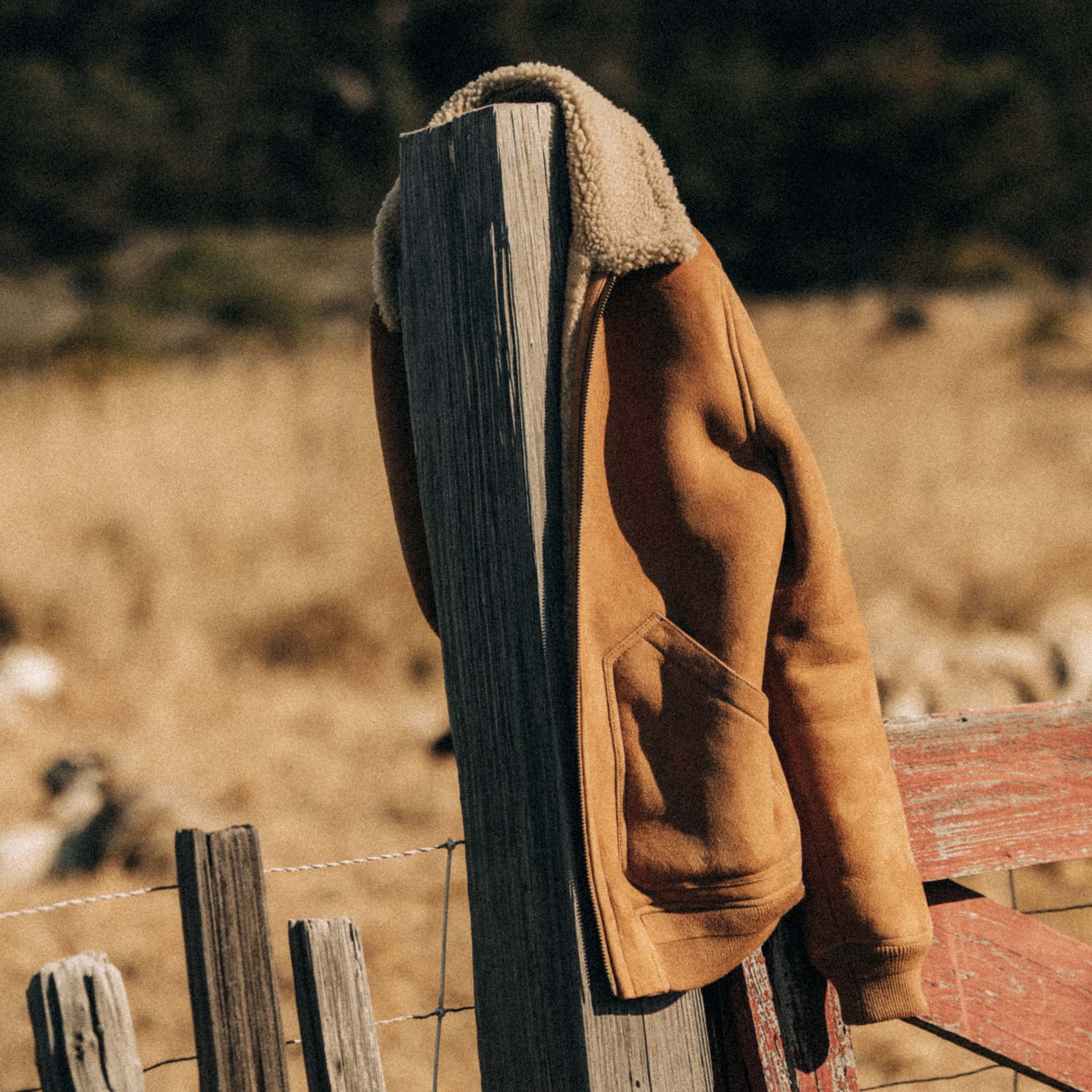 The Wright Jacket in Camel Shearling Leather: Alternate Image 5, Outerwear by Taylor Stitch