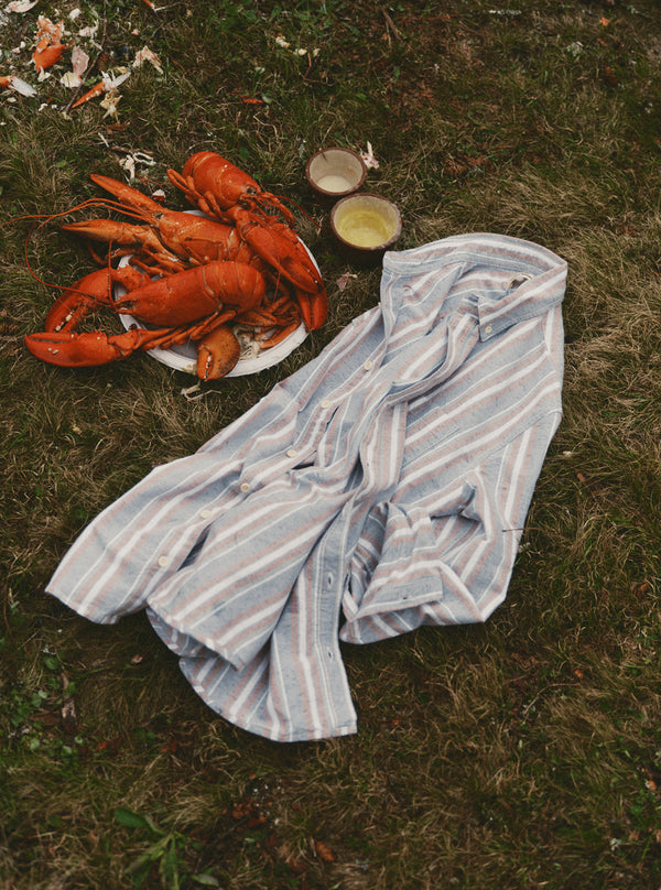 editorial image of The Jack in Daybreak Stripe Oxford on a rock