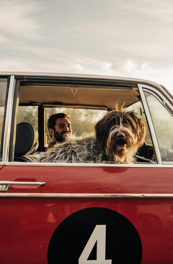 nico with his dog