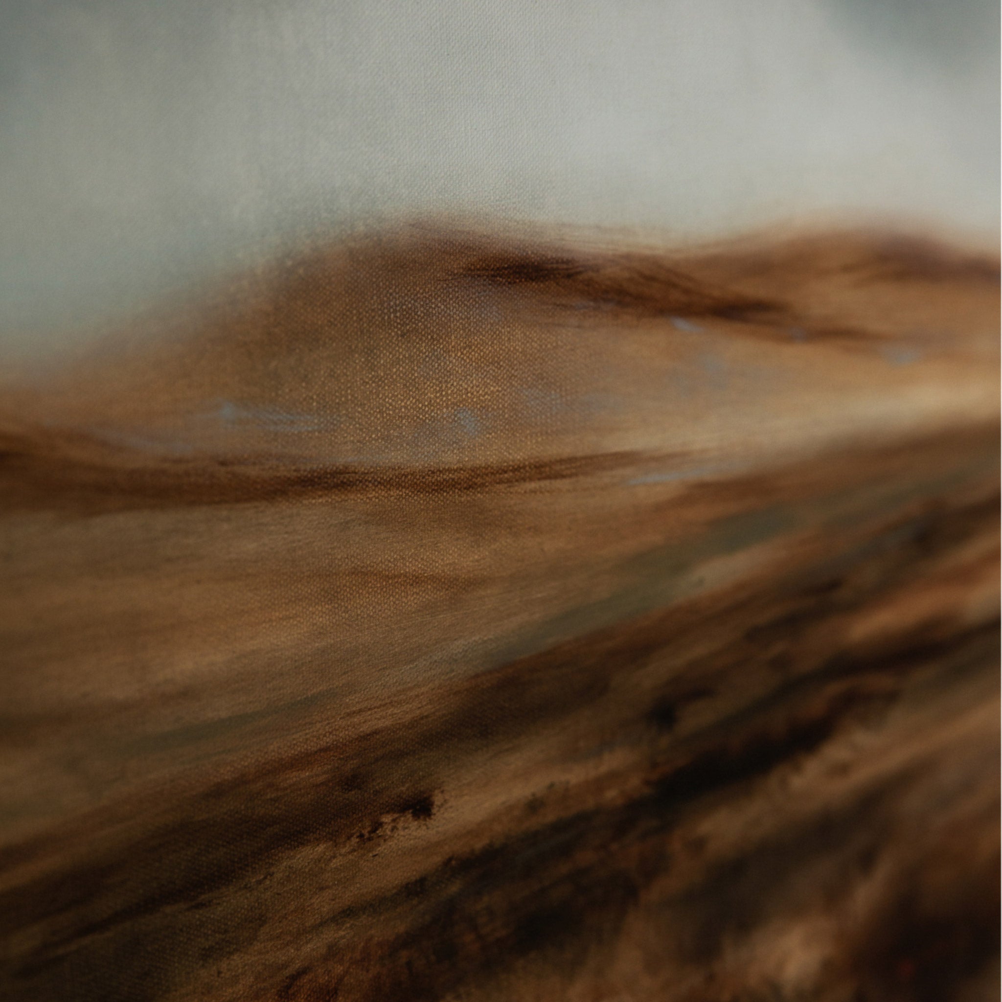 material shot,  by Taylor Stitch