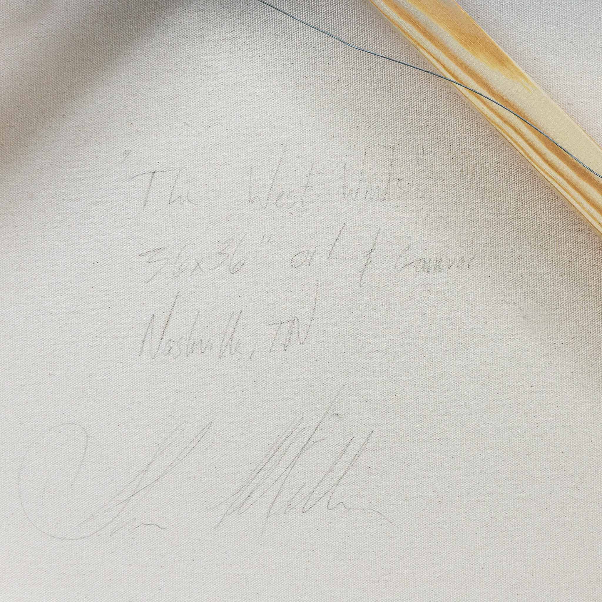 material shot,  by Taylor Stitch